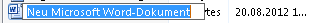 Dokument_neu2