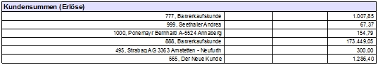 bv_kundensumme